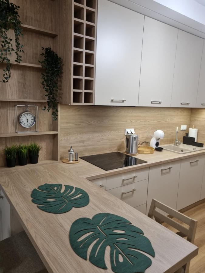 Apartament Sloneczny -Sciegiennego 凯尔采 外观 照片