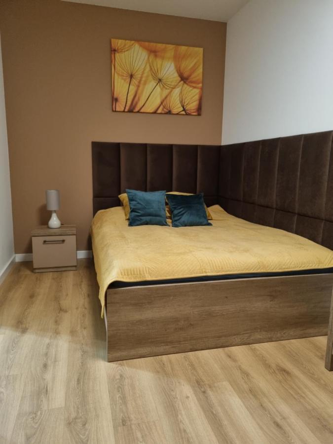 Apartament Sloneczny -Sciegiennego 凯尔采 外观 照片