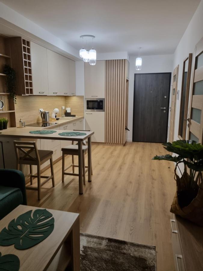 Apartament Sloneczny -Sciegiennego 凯尔采 外观 照片
