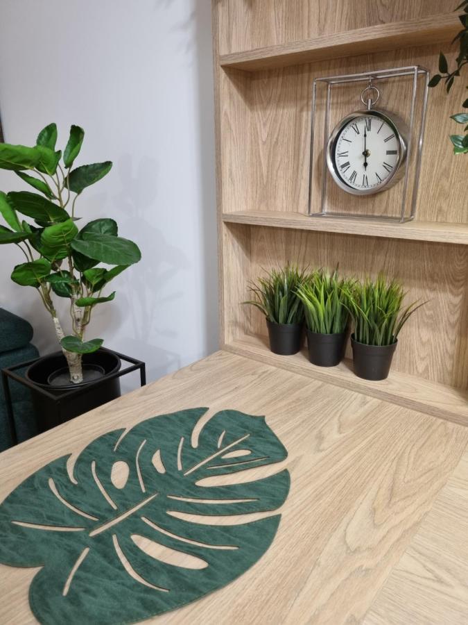 Apartament Sloneczny -Sciegiennego 凯尔采 外观 照片