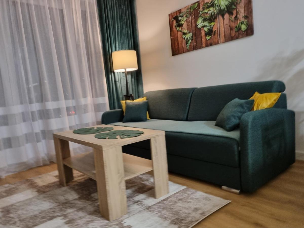 Apartament Sloneczny -Sciegiennego 凯尔采 外观 照片