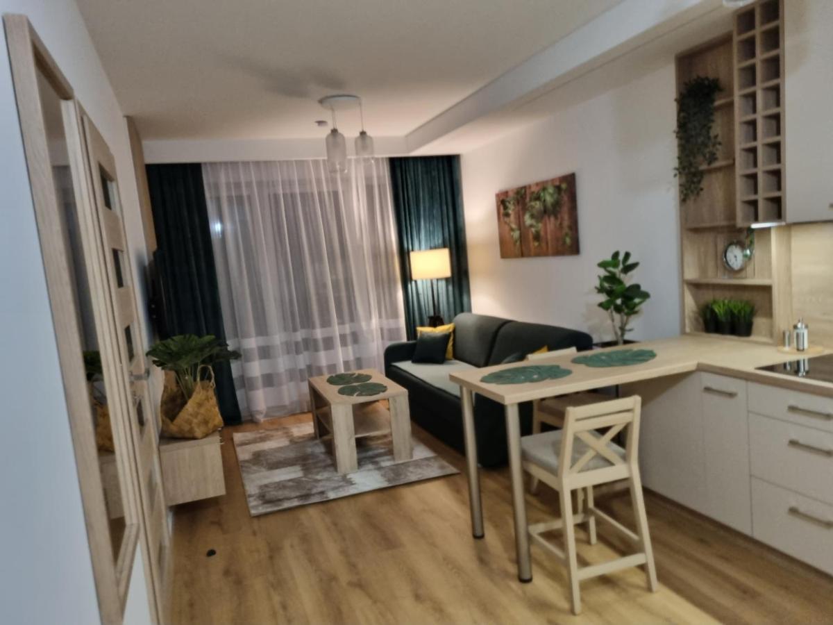 Apartament Sloneczny -Sciegiennego 凯尔采 外观 照片
